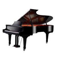 SPYKER HD-W276G 88 Keys Keyboard Piano Splendid High End Acoustic Grand Piano