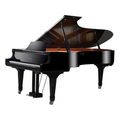 Splendid Super Big Grand Acoustic Piano 88 Keys High End Mechanical Piano