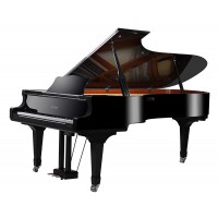 Splendid Super Big Grand Acoustic Piano 88 Keys High End Mechanical Piano